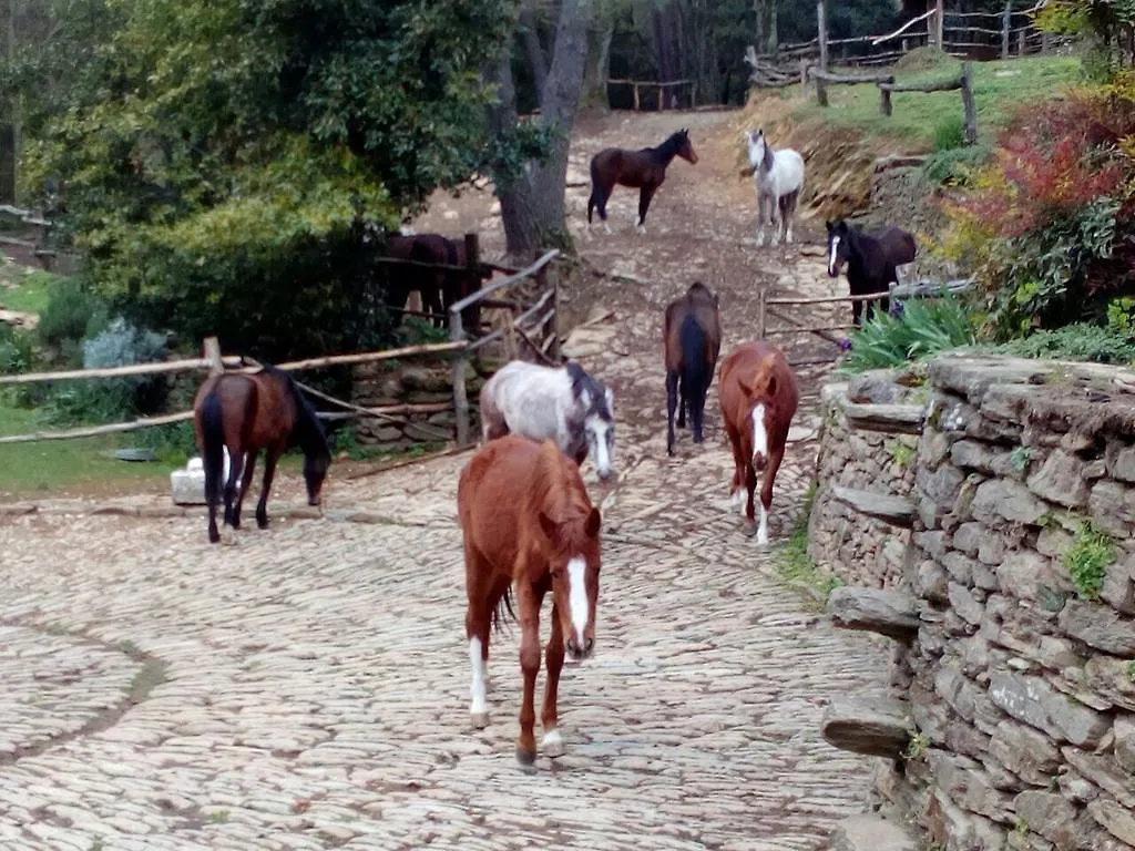 Centro Trekking A Cavallo Monte Brugiana Affittacamere Massa  0*, Massa (Tuscany)