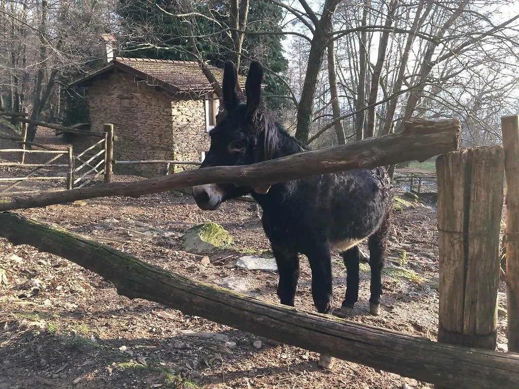Centro Trekking A Cavallo Monte Brugiana Affittacamere Massa  Casa di campagna
