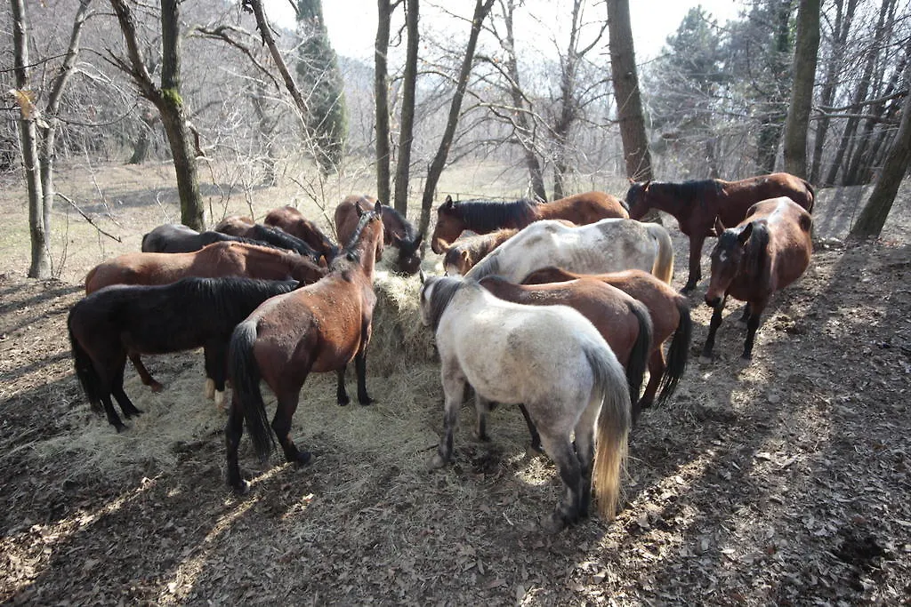 Maison d'hôtes Centro Trekking A Cavallo Monte Brugiana à Massa  Séjour à la campagne
