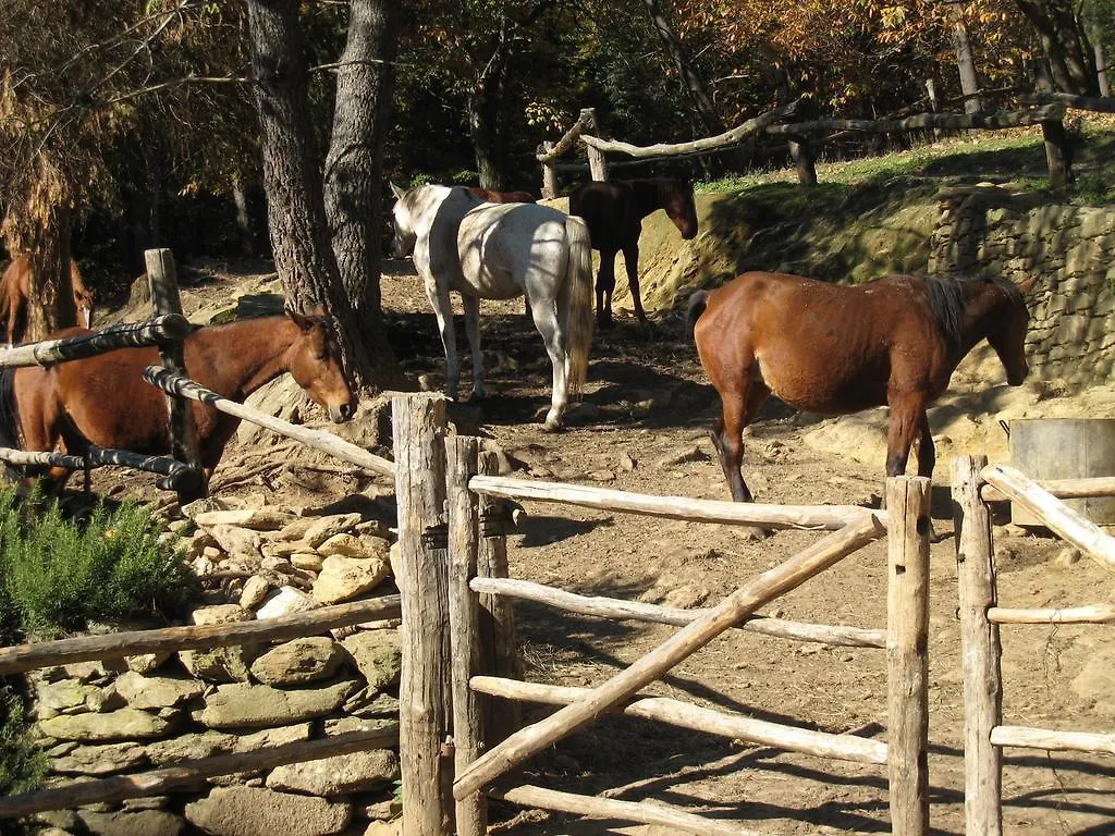 Séjour à la campagne Maison d'hôtes Centro Trekking A Cavallo Monte Brugiana à Massa  Italie